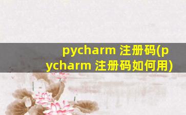 pycharm 注册码(pycharm 注册码如何用)